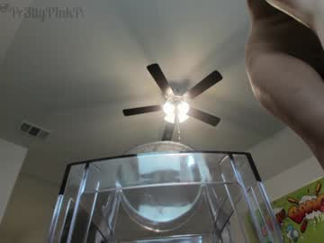 girl cam all day pr3ttyp1nkpussy image #450919