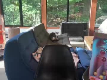 girl cam all day peacheekitty image #7385226