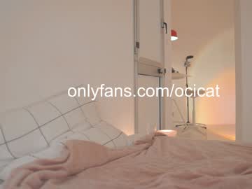 girl cam all day ocicat image #8358696