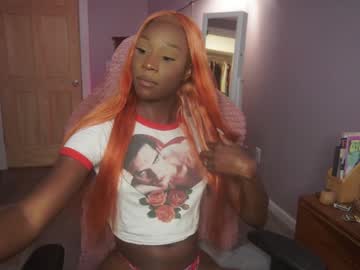 tranny cam all day vanniall image #7679181