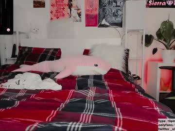 tranny cam all day sierra_diamond image #1087035