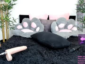 girl cam all day nesteacoffee image #8166524