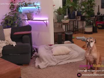 girl cam all day marymoody image #973868