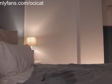 girl cam all day ocicat image #5366786