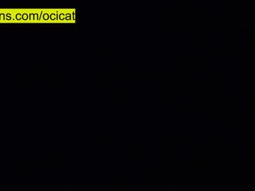 girl cam all day ocicat image #5942748