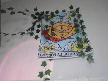 girl cam all day shycinderella image #3640244