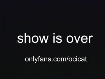 girl cam all day ocicat image #5087636