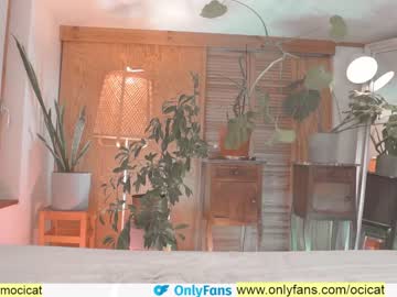 girl cam all day ocicat image #2531319