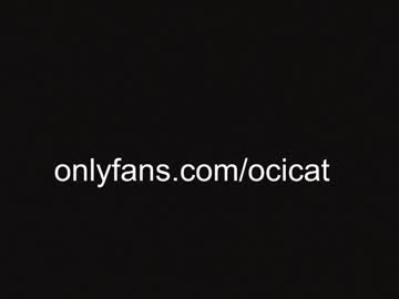 girl cam all day ocicat image #8064649