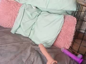 girl cam all day paldineswife image #982230