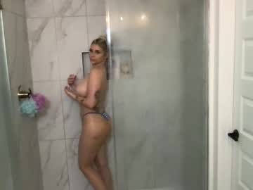 Cam for willowclark