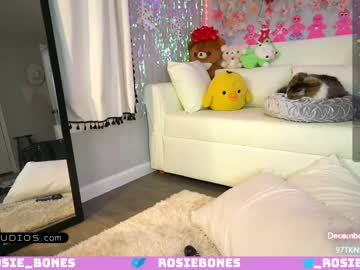 girl cam all day rosiebones image #5884090