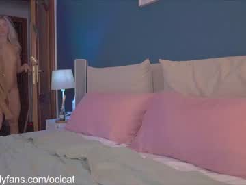 girl cam all day ocicat image #1425611