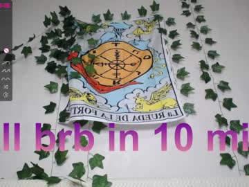 girl cam all day shycinderella image #3468028