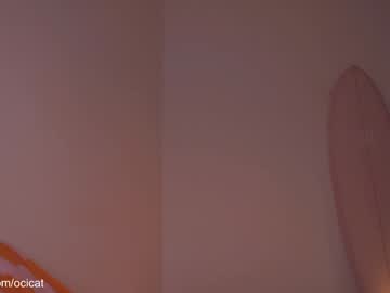 girl cam all day ocicat image #9447831