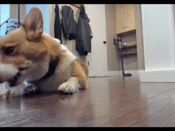 couple cam all day ryanrailer image #2661378