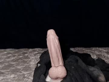 man cam all day browardboy69 image #1331646