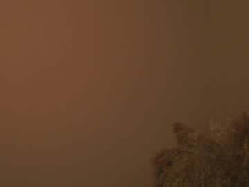 girl cam all day wendy_amber image #5581527
