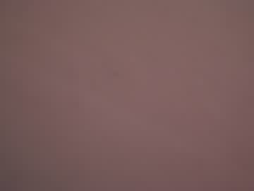 couple cam all day anabel054 image #636389