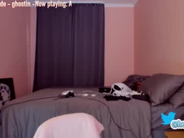 girl cam all day hollyextra image #2493100