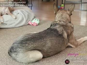 girl cam all day marymoody image #1791093
