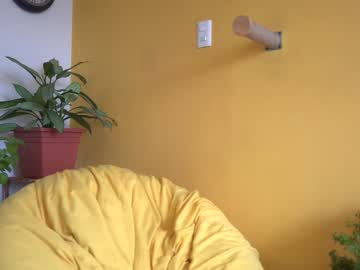 girl cam all day maria_alfonsina image #2980975