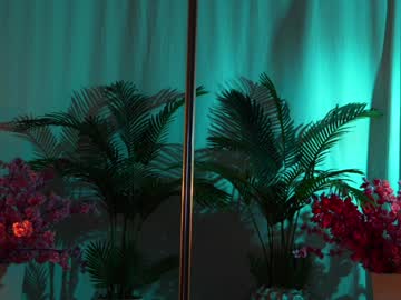 girl cam all day kittycaitlin image #8213533