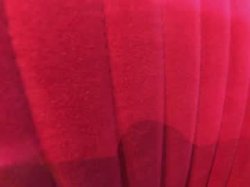 girl cam all day ehotlovea image #6102081