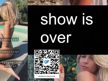 girl cam all day ocicat image #5612030