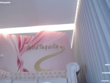 girl cam all day wildtequilla image #4306459