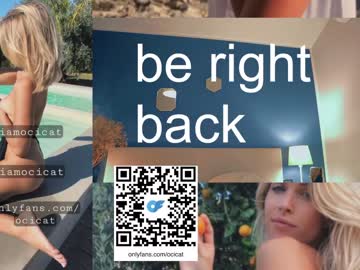 girl cam all day ocicat image #5625763
