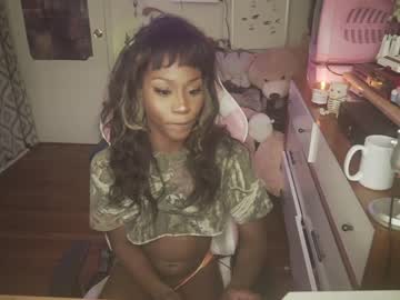 tranny cam all day vanniall image #1516305