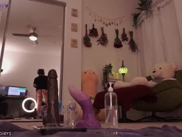 girl cam all day evelynpiers image #3492877