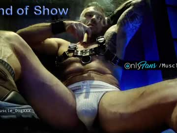 man cam all day muscle_dog image #743664