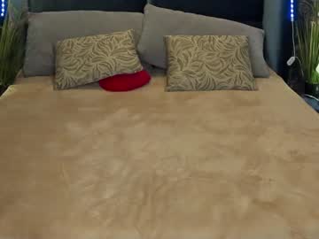 Cam for hollytori