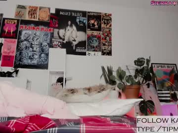 tranny cam all day sierra_diamond image #3176309