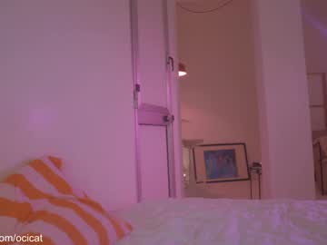 girl cam all day ocicat image #9087155