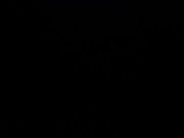 couple cam all day vladalove2 image #5716291