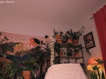 girl cam all day jane_flowers image #1452159