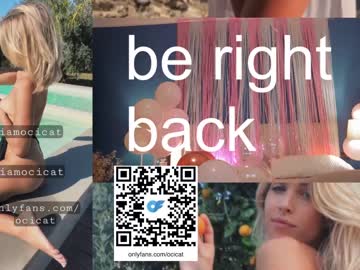 girl cam all day ocicat image #5654368