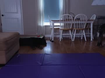 girl cam all day chroniclove image #3855406