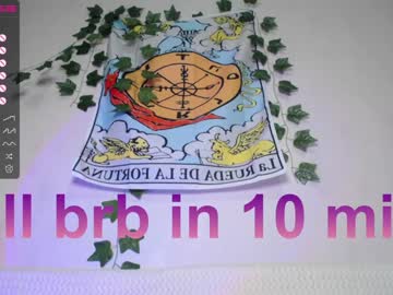 girl cam all day shycinderella image #3524122