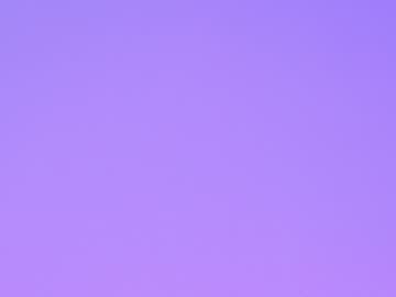 girl cam all day shycinderella image #687956