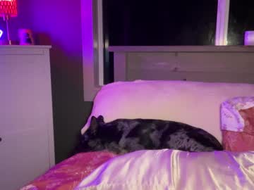 girl cam all day kaileeshy image #8742122