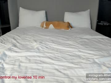 girl cam all day carolinaherera image #5674383
