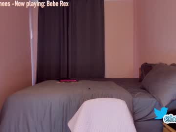 girl cam all day hollyextra image #2543004