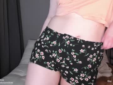 girl cam all day in_tune image #4399078