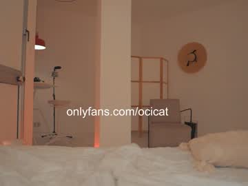 girl cam all day ocicat image #8406802