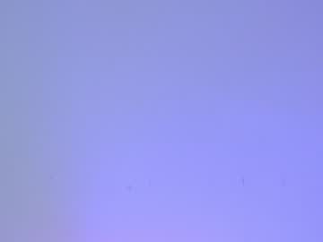 girl cam all day shycinderella image #1031962