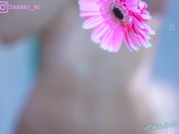 girl cam all day taanni_bc image #4338263